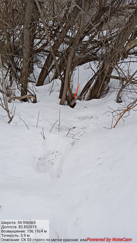 IMG 20230309 151423.jpg