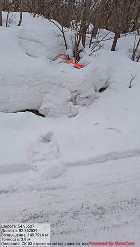 IMG 20230309 151449.jpg