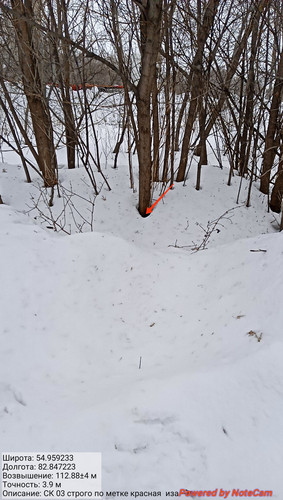 IMG 20230309 151606.jpg