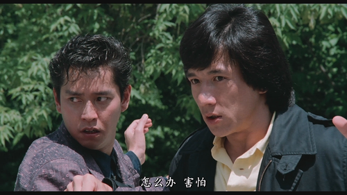 [龙兄虎弟]Armour of God 1986 GBR BluRay 1080p x264 DTS HD 2Audios FFans@荖顽僮.mkv 20230309 152056.128.png