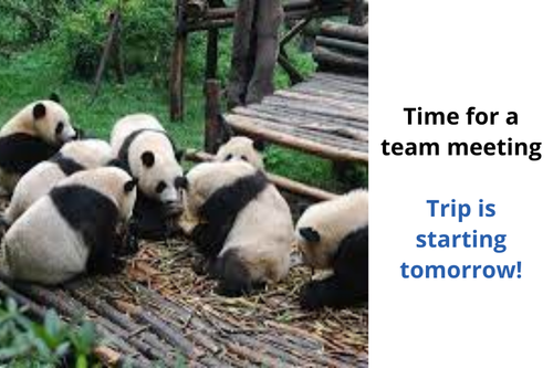 Notification 2 (57).png