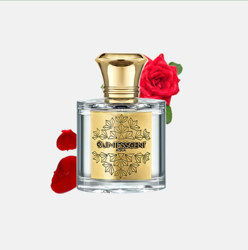 perfume influencers.png