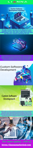 Custom Software Development At Lianna Marketing.png