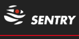 Sentry.png