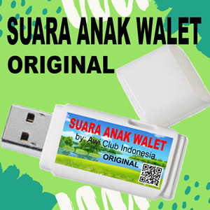 SAASS.jpg