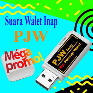 INAP1 copy.jpg