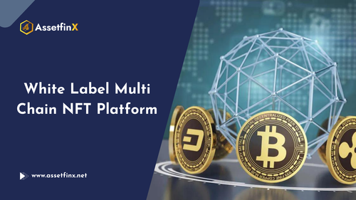 White Label Multi Chain NFT Platform.png