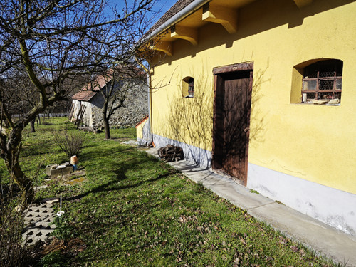 IMG 20230317 094038.jpg