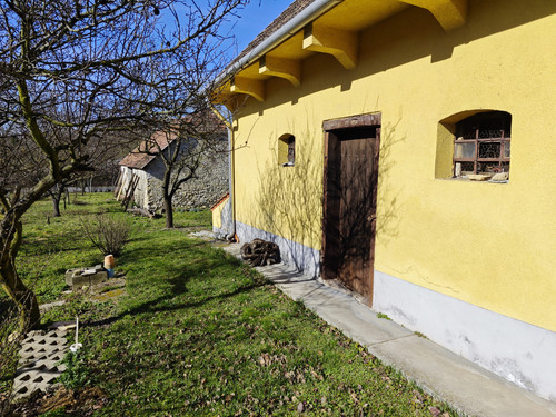 IMG 20230317 094141.jpg