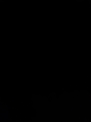 16786608995336499045269939445456.jpg