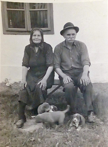 baka i deka psi stenci foto jadar cikote draginac slika O 235967817.jpg