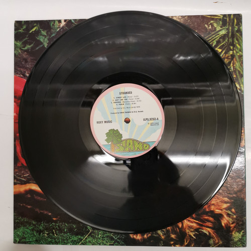 IMG 20230308 153123.jpg