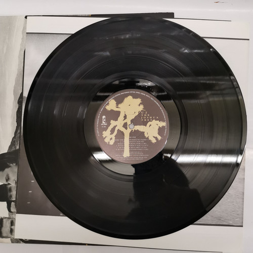 IMG 20230308 152417.jpg