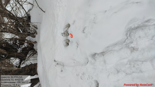 IMG 20230308 214747.jpg