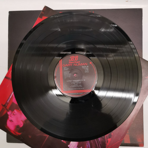 IMG 20230308 152051.jpg