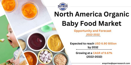 North America Organic Baby Food Market.jpg