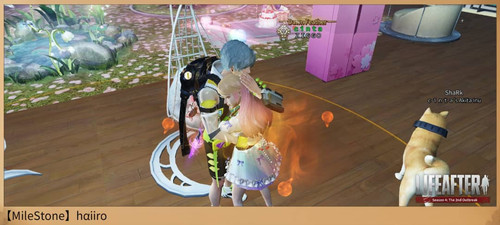 hairo 2.jpg