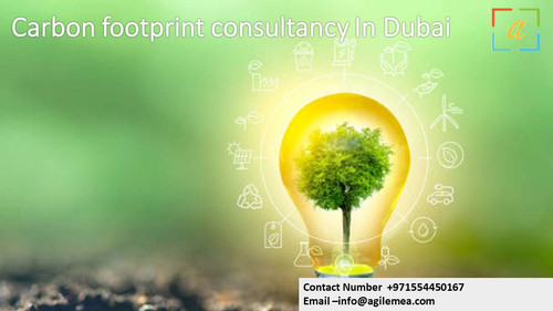Carbon footprint consultant In Dubai.2.jpg