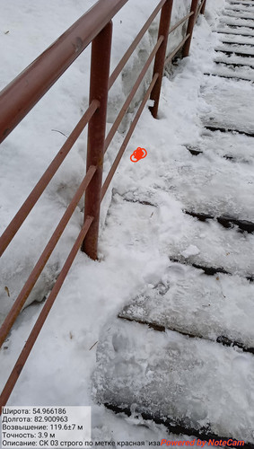 IMG 20230308 131311.jpg