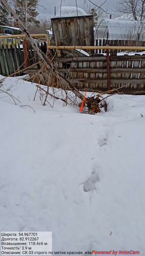 IMG 20230308 125535.jpg