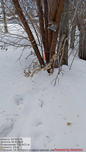 IMG 20230308 125633.jpg