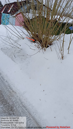 IMG 20230308 125605.jpg