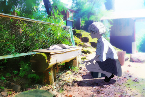 周憂 「君は自由でいいね」 0 85096372 33638616 2047x1363.jpg