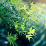 banishment 梅雨のイラストまとめ 0 75961171 23223750 3840x2160