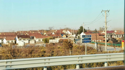 IMG 20230308 154121.jpg