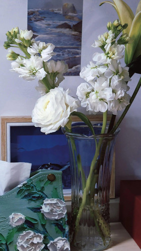 IMG 20230308 154116.jpg