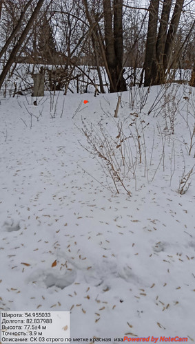 IMG 20230308 151821.jpg