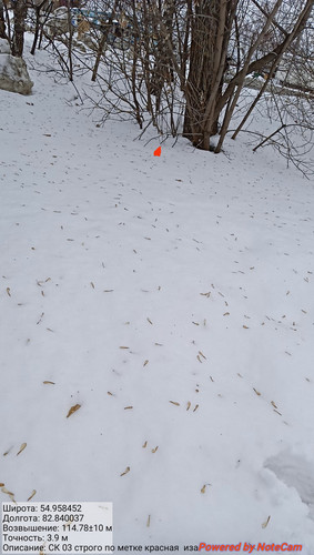 IMG 20230308 151930.jpg