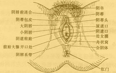 edfad790097c4a7887f98f358d478008.jpg