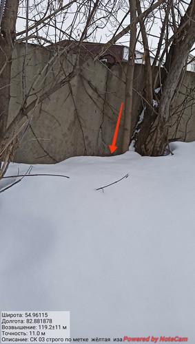 IMG 20230310 155425.jpg