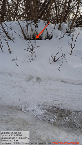 IMG 20230310 163234.jpg