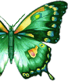 oie overlay 2023 03 10T044638.450.gif