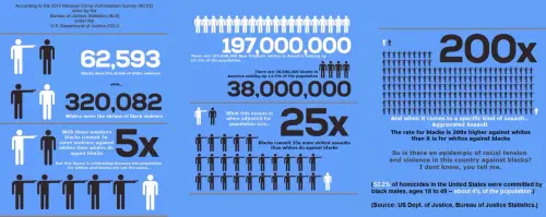 img 1 1669111323568.webp