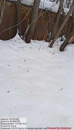 IMG 20230308 143416.jpg