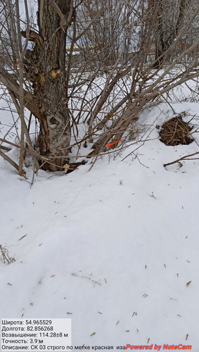 IMG 20230308 143837.jpg