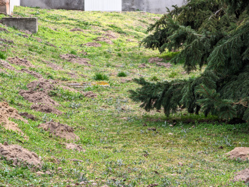 PXL 20230308 105758711.jpg