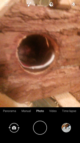 Screenshot 20230308 183008.png