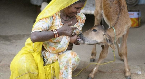 homegrown import facebook 2440 Chouthi Bai 3.jpg