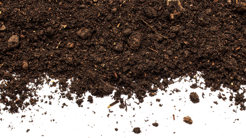 SOIL@2x.png