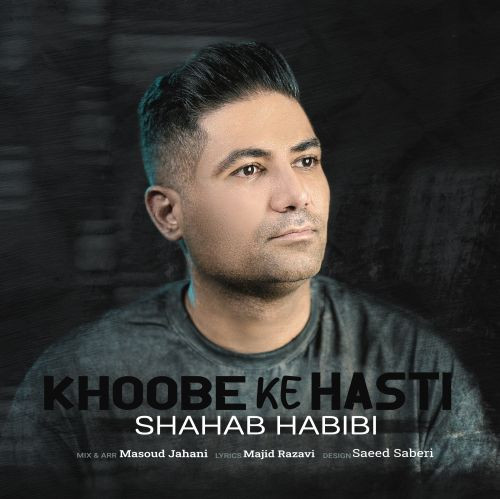 Shahab Habibi Khoobe Ke Hasti.jpg