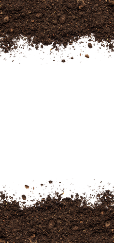 Grupo 41@2x.png