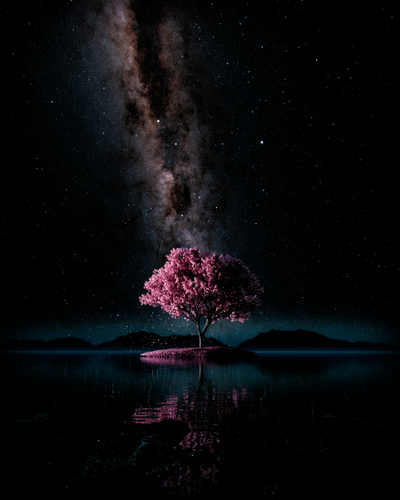 1678976210515.png