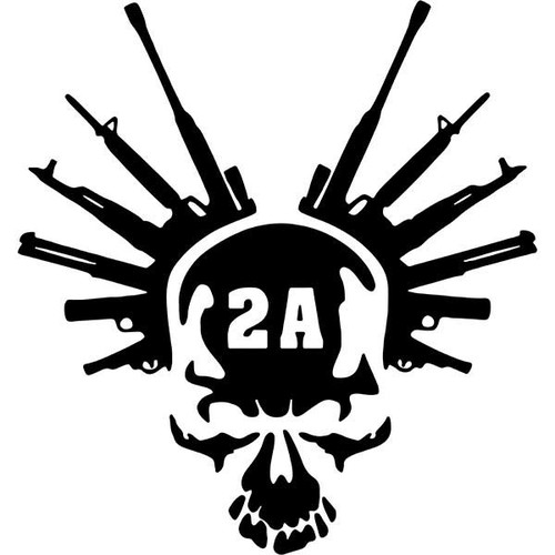 2nd Amendment Guns Skull.jpg