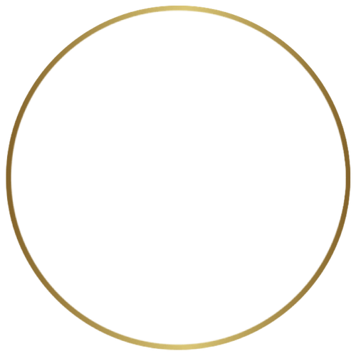 —Pngtree—round golden frame 4892041.png