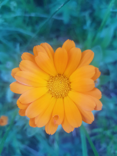 20210515 192202.jpg