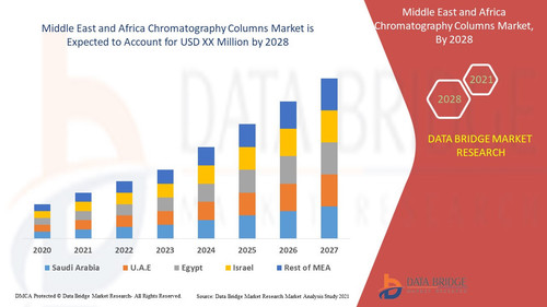 Middle East and Africa Chromatography Columns Market.jpg